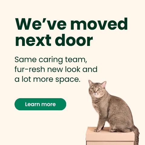 We've moved next door. Same caring team, fur-resh new look and a lot more space. Learn more.